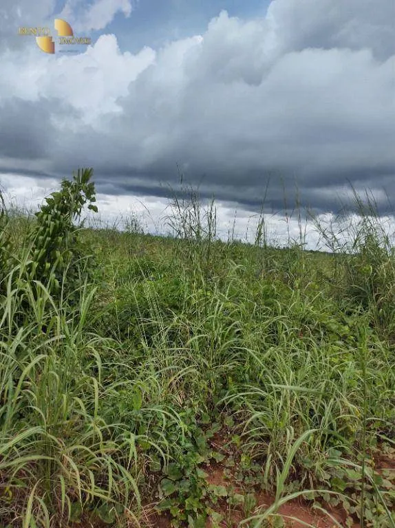 Fazenda à venda de 4.000 ha em Confresa, MT, Brasil