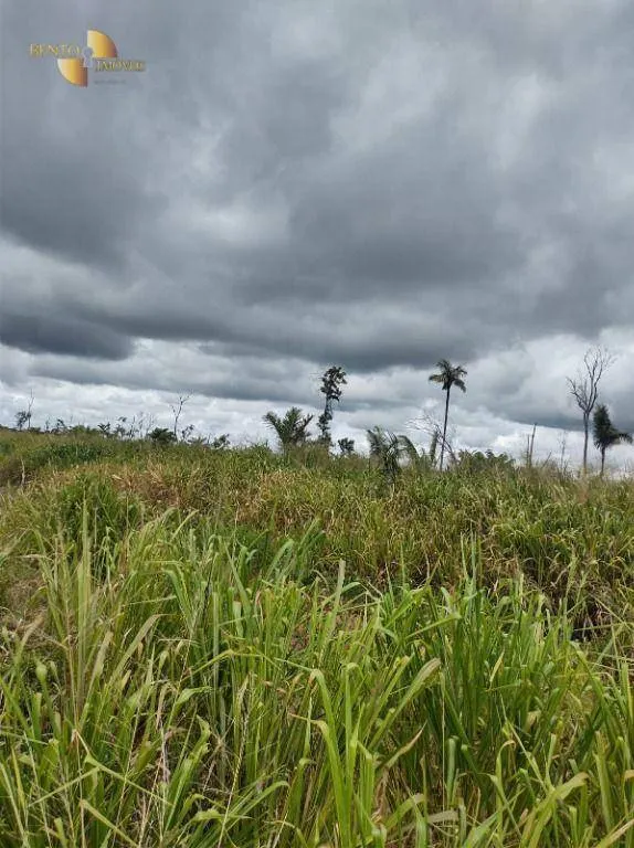 Fazenda à venda de 4.000 ha em Confresa, MT, Brasil