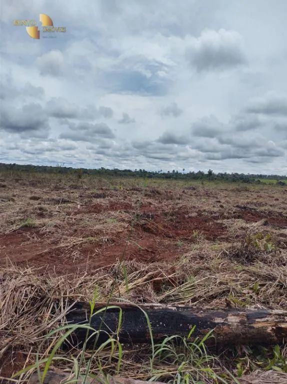 Fazenda à venda de 4.000 ha em Confresa, MT, Brasil