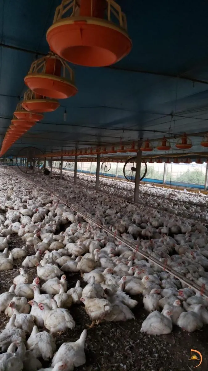 Sítio à venda de 8 ha em Bauru, SP, Brasil