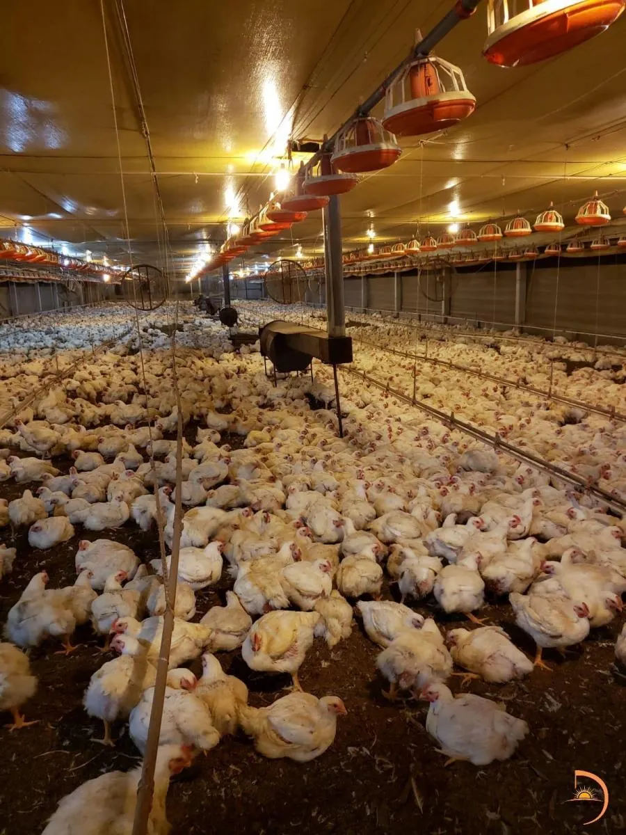 Sítio à venda de 8 ha em Bauru, SP, Brasil