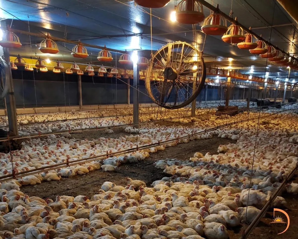 Sítio à venda de 8 ha em Bauru, SP, Brasil