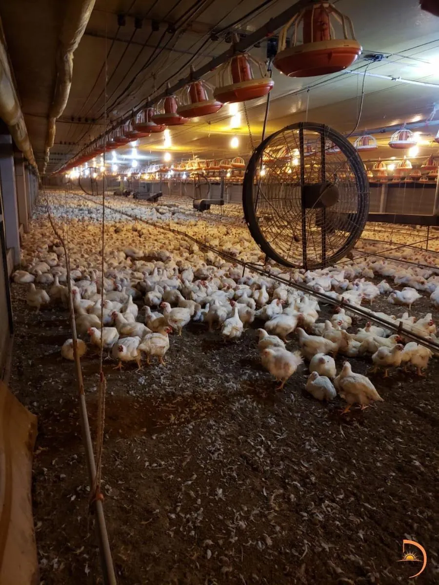 Sítio à venda de 8 ha em Bauru, SP, Brasil