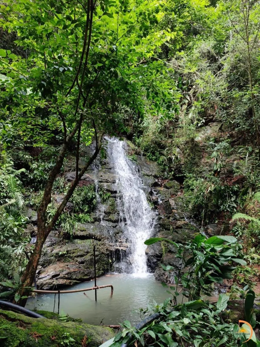 Sítio à venda de 8 ha em Bauru, SP, Brasil