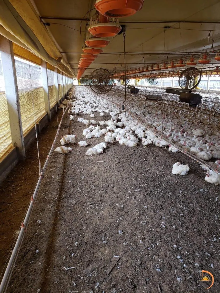 Sítio à venda de 8 ha em Bauru, SP, Brasil