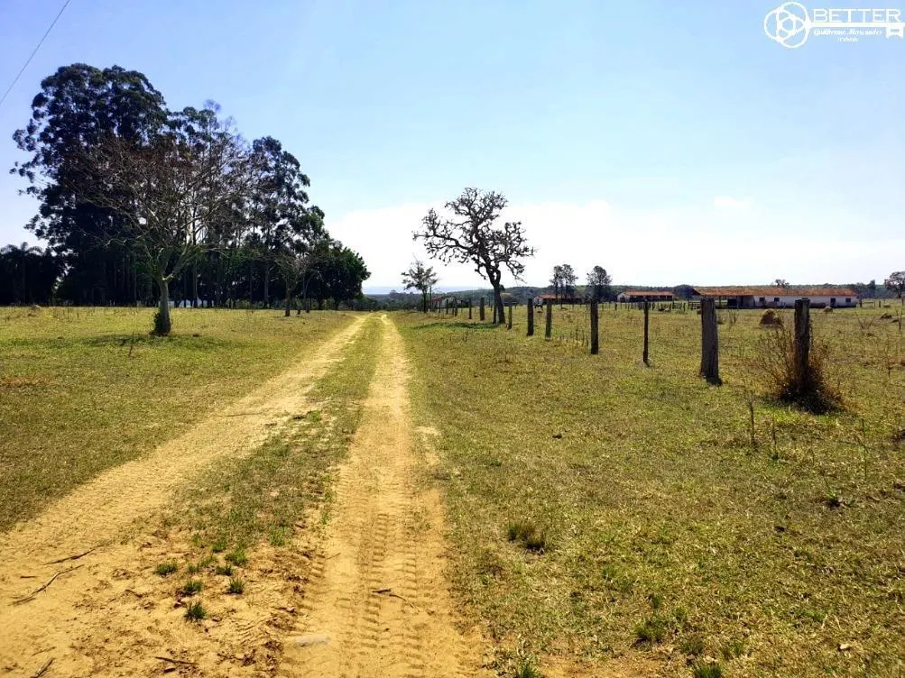Fazenda à venda de 115 ha em Angatuba, SP, Brasil