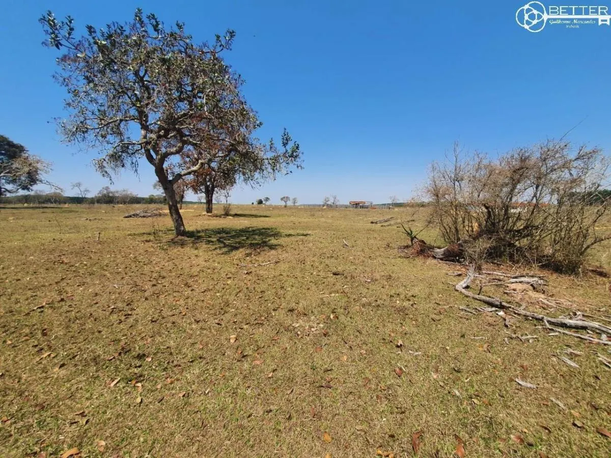 Fazenda à venda de 115 ha em Angatuba, SP, Brasil