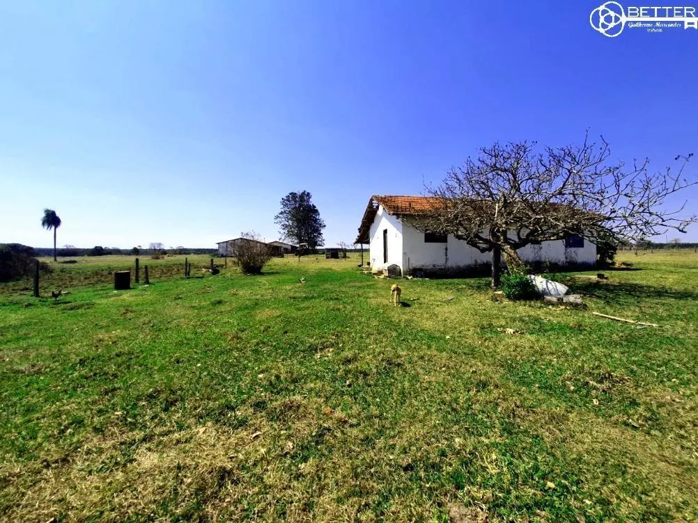 Fazenda à venda de 115 ha em Angatuba, SP, Brasil