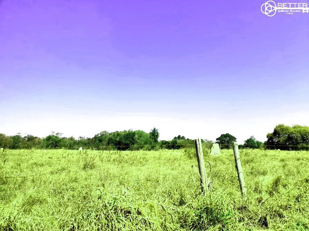 Fazenda à venda de 115 ha em Angatuba, SP, Brasil