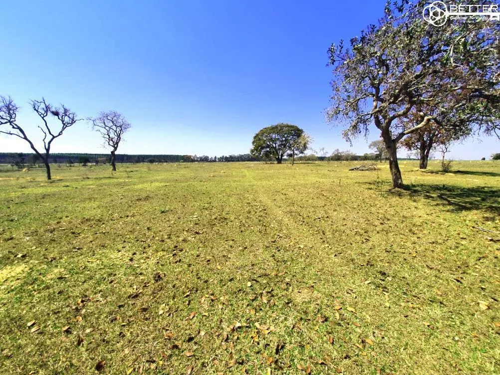 Fazenda à venda de 115 ha em Angatuba, SP, Brasil