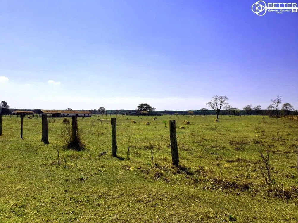 Fazenda à venda de 115 ha em Angatuba, SP, Brasil