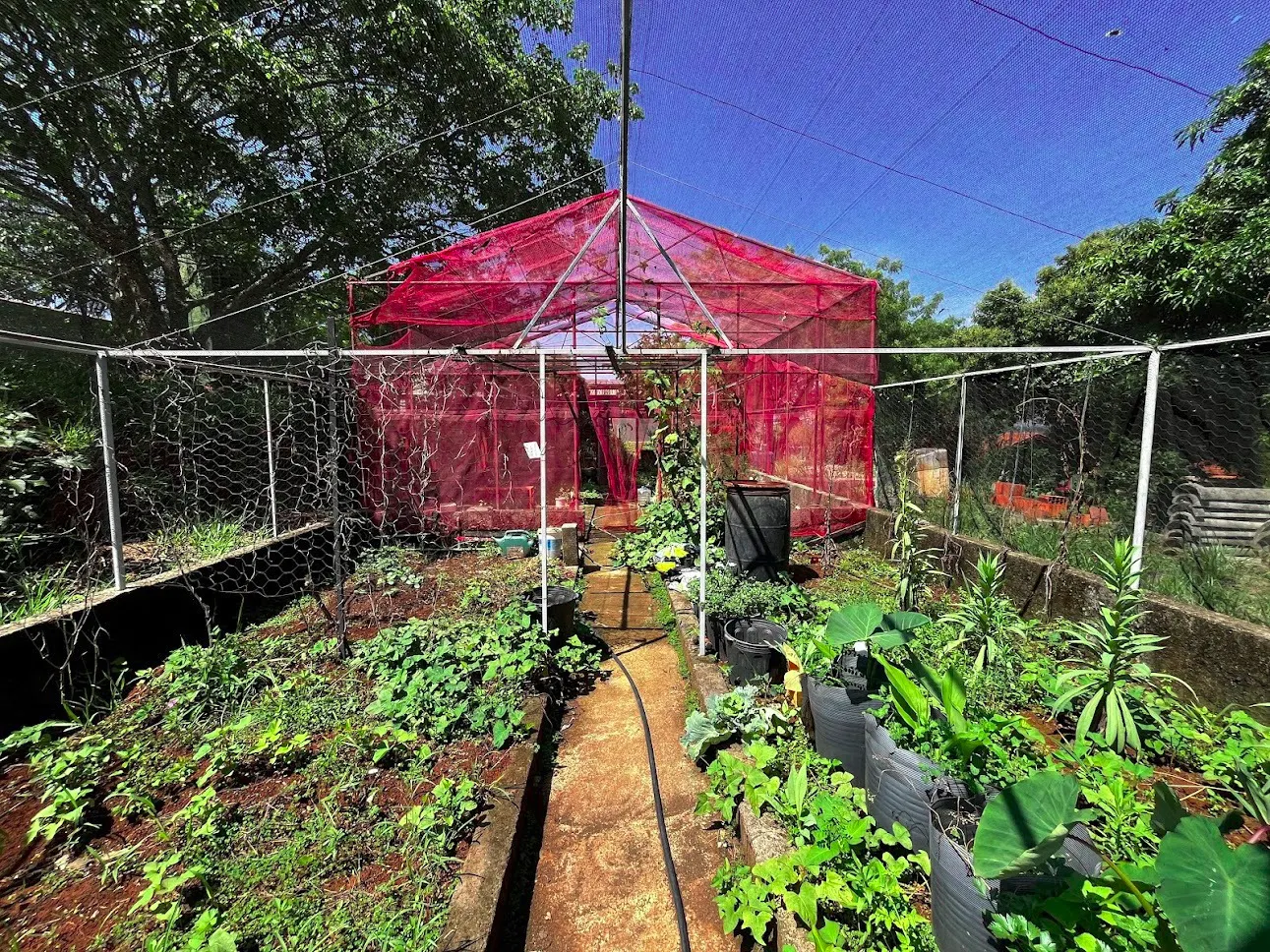 Sítio à venda de 3 ha em Taubaté, SP, Brasil