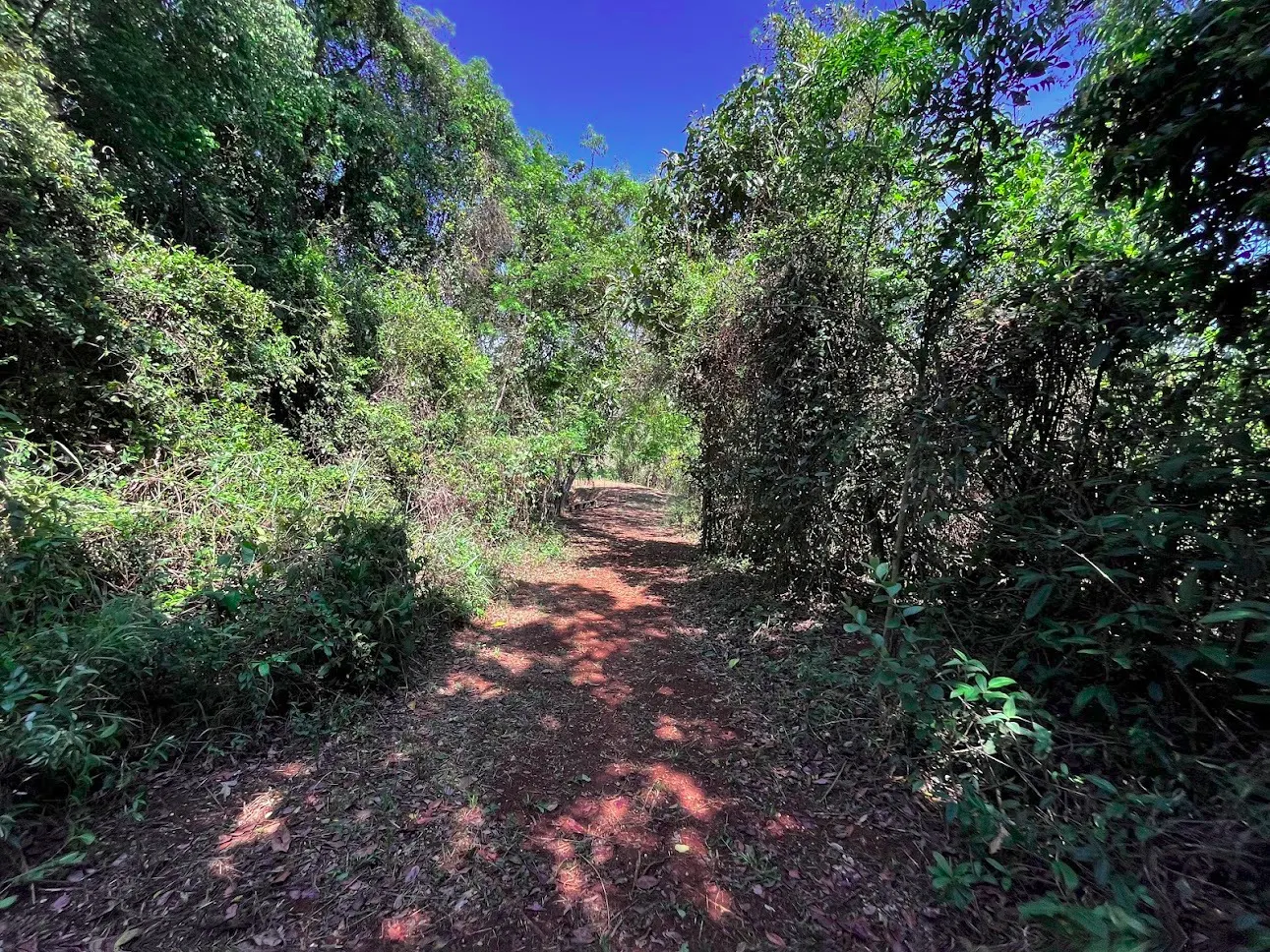 Sítio à venda de 3 ha em Taubaté, SP, Brasil