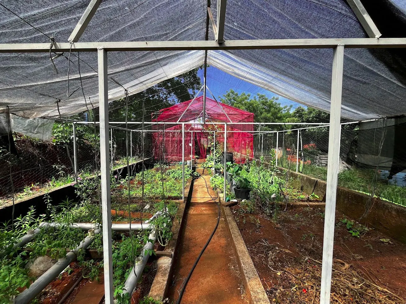 Sítio à venda de 3 ha em Taubaté, SP, Brasil