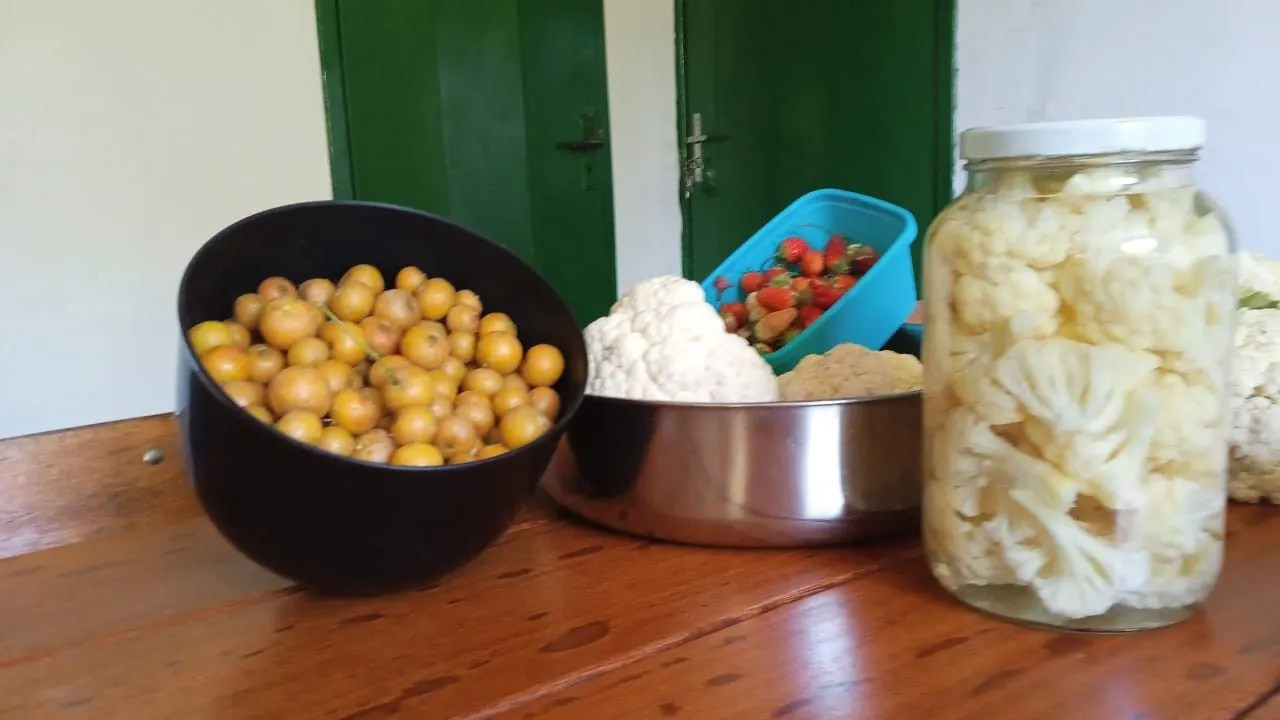 Chácara à venda de 8 ha em Itati, RS, Brasil