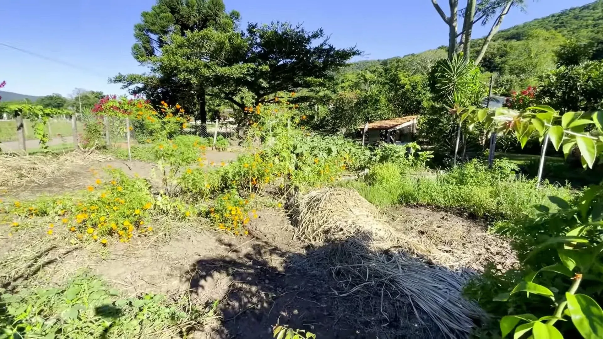 Chácara à venda de 8 ha em Itati, RS, Brasil