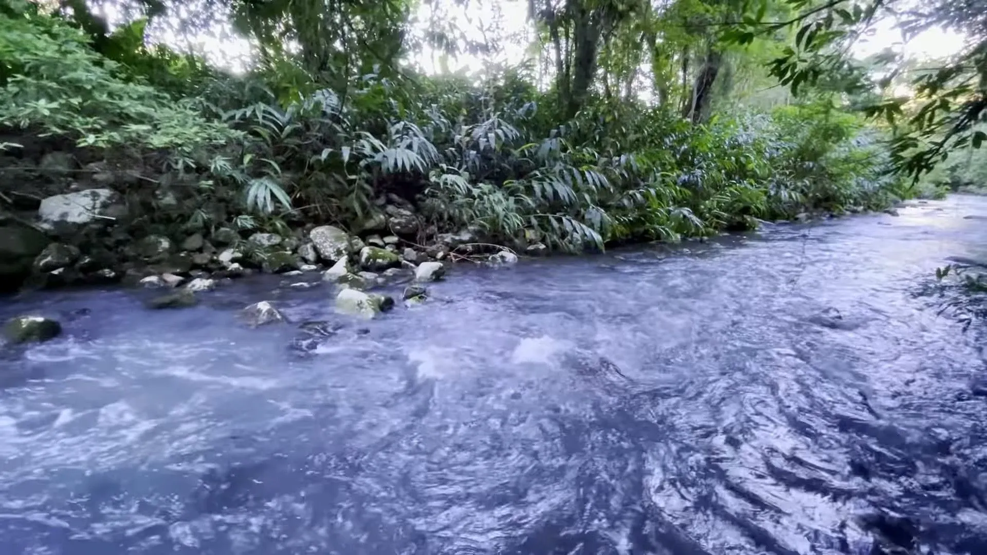 Chácara à venda de 8 ha em Itati, RS, Brasil