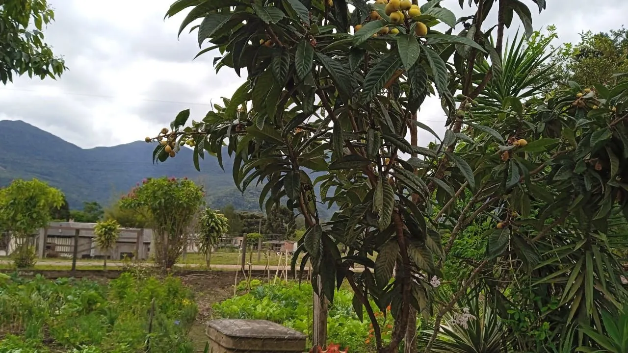 Chácara à venda de 8 ha em Itati, RS, Brasil