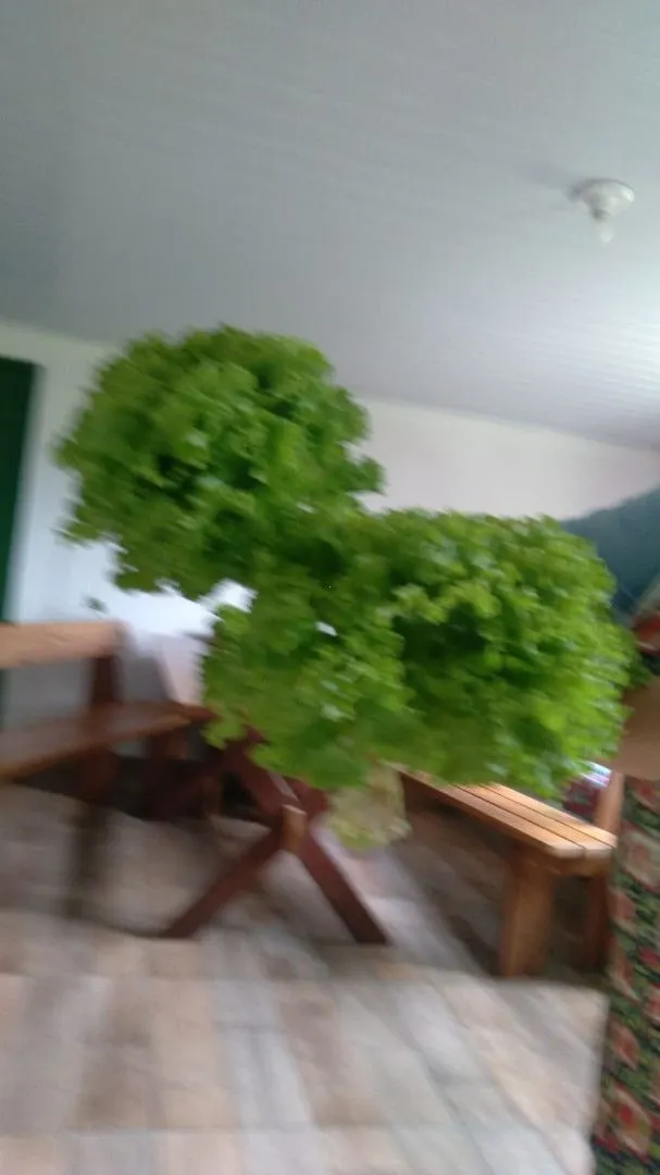 Chácara à venda de 8 ha em Itati, RS, Brasil