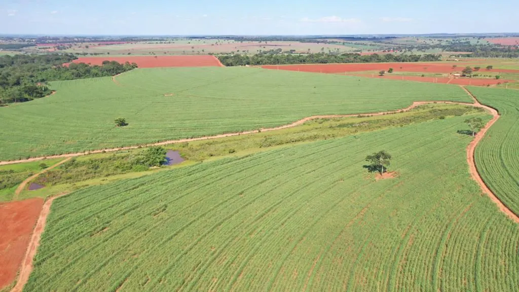 Fazenda à venda de 98 ha em Indiaporã, SP, Brasil