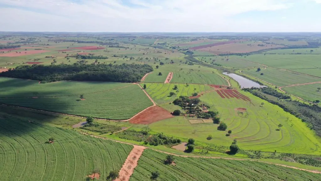 Fazenda à venda de 98 ha em Indiaporã, SP, Brasil