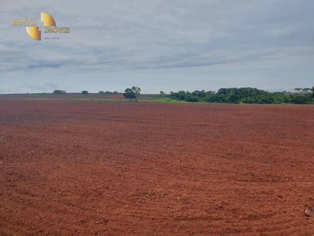 Fazenda à venda de 404 ha em Nobres, MT, Brasil