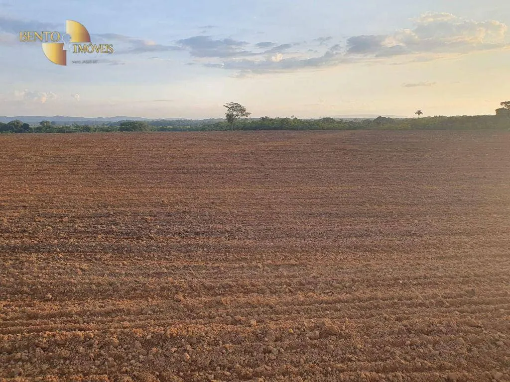 Fazenda à venda de 404 ha em Nobres, MT, Brasil