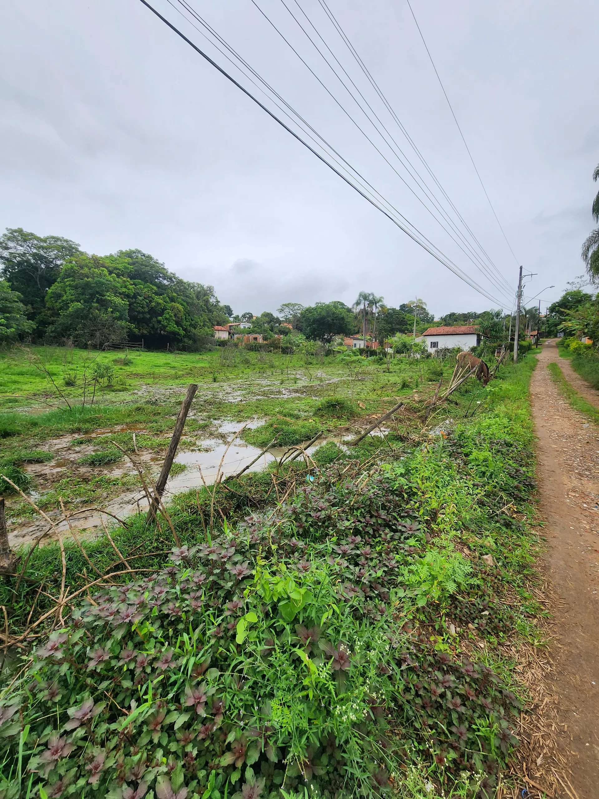 Chácara à venda de 4.080 m² em Guaratinguetá, SP, Brasil