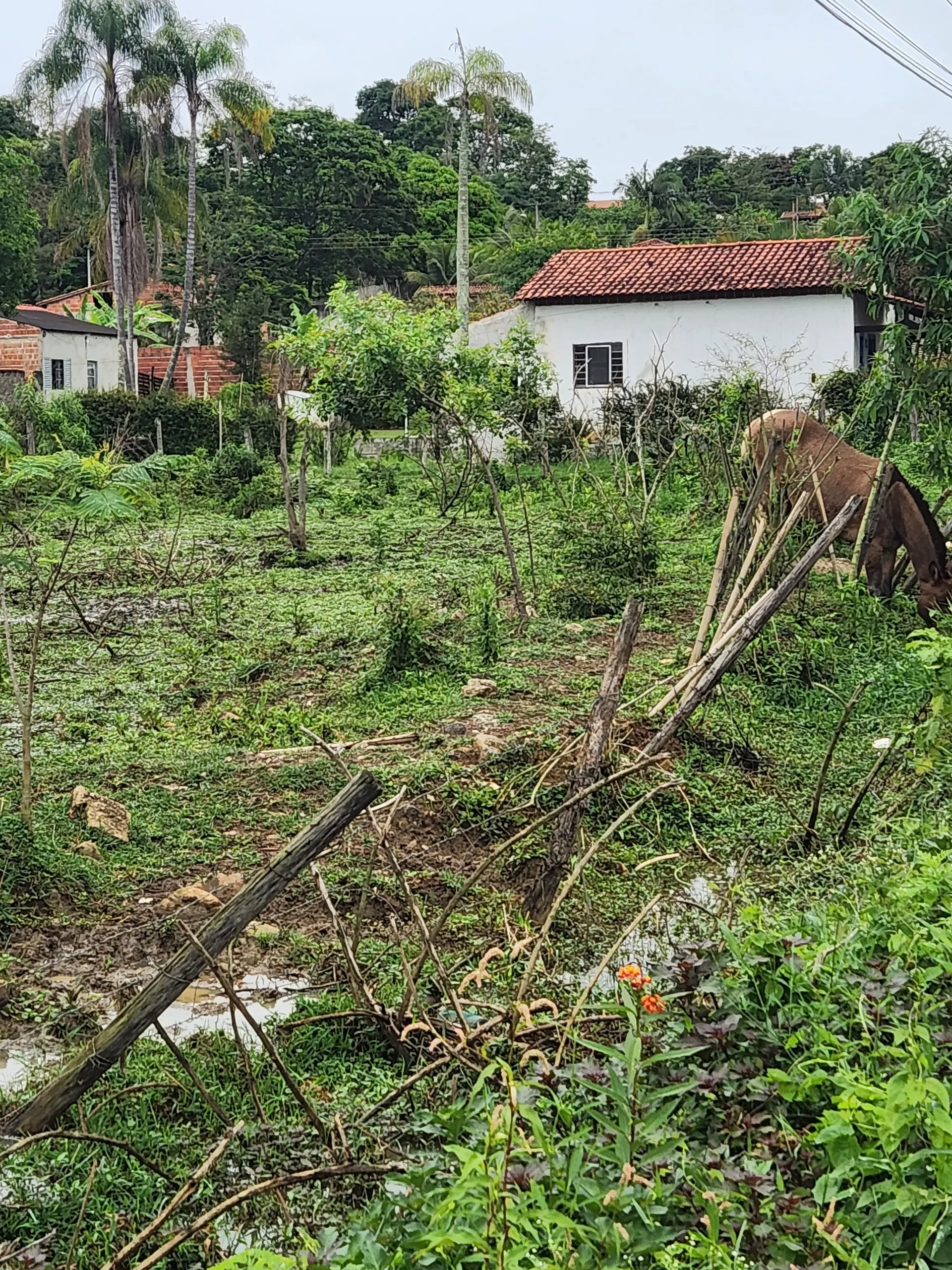 Chácara à venda de 4.080 m² em Guaratinguetá, SP, Brasil