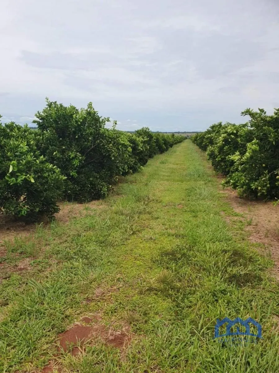 Fazenda à venda de 2.306 ha em Avaré, SP, Brasil
