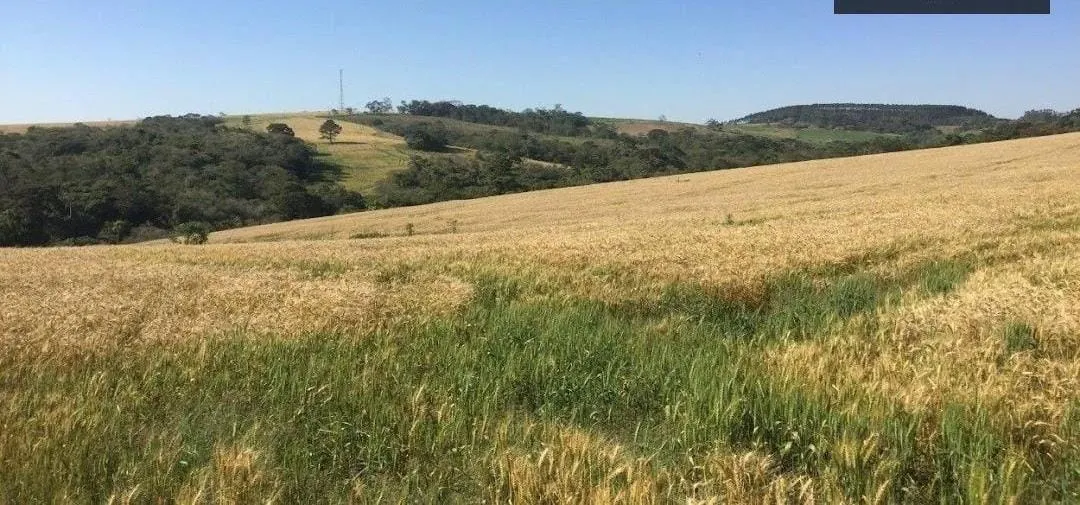 Fazenda à venda de 162 ha em São Miguel Arcanjo, SP, Brasil