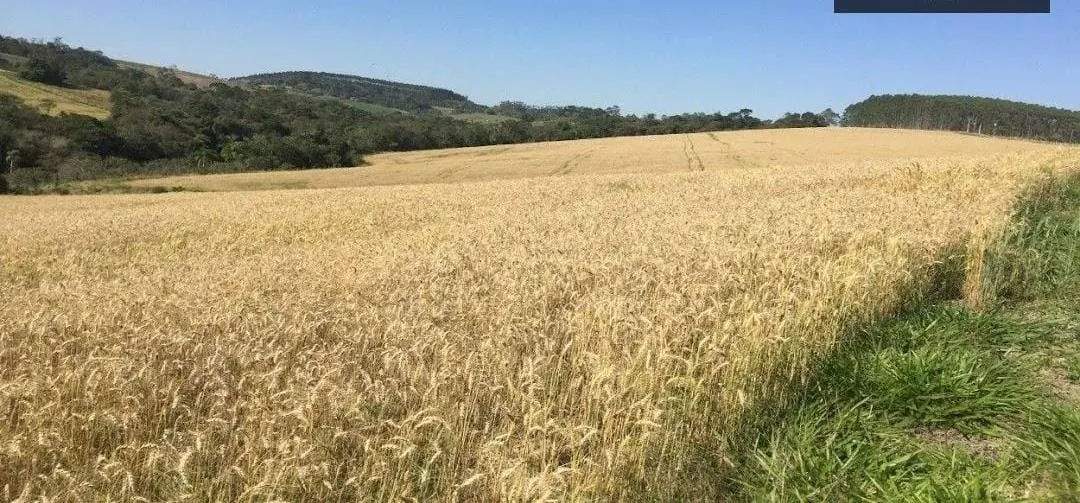 Fazenda à venda de 162 ha em São Miguel Arcanjo, SP, Brasil