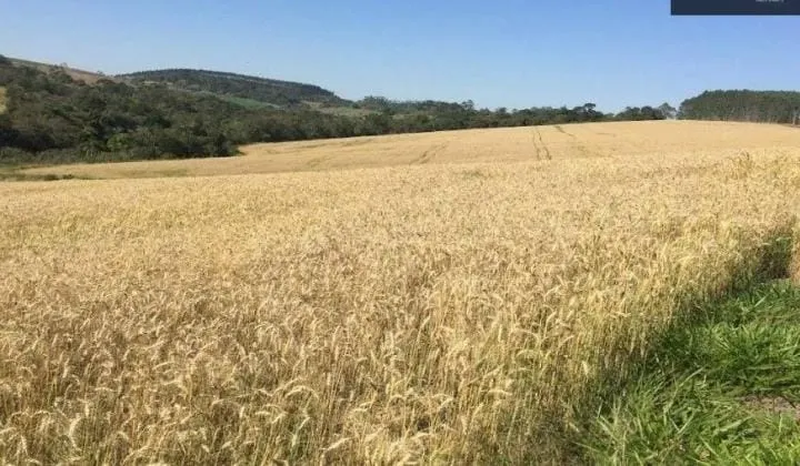 Fazenda à venda de 162 ha em São Miguel Arcanjo, SP, Brasil