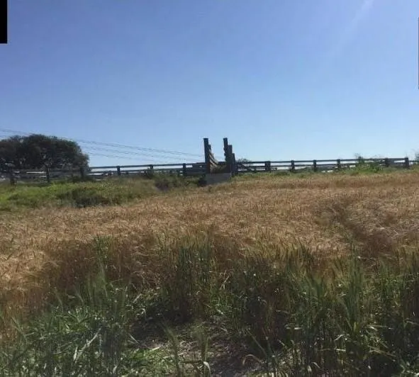 Fazenda à venda de 162 ha em São Miguel Arcanjo, SP, Brasil