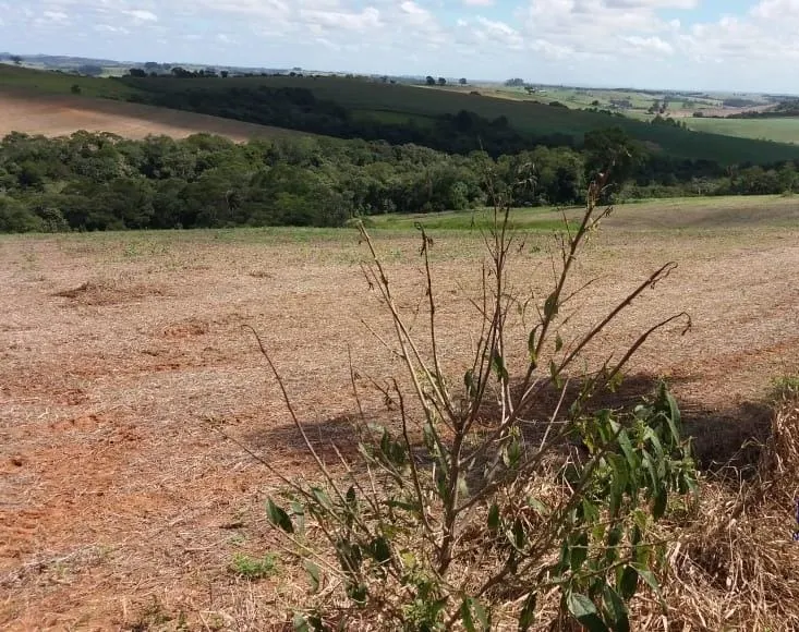 Fazenda à venda de 162 ha em São Miguel Arcanjo, SP, Brasil