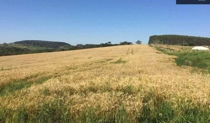 Fazenda à venda de 162 ha em São Miguel Arcanjo, SP, Brasil