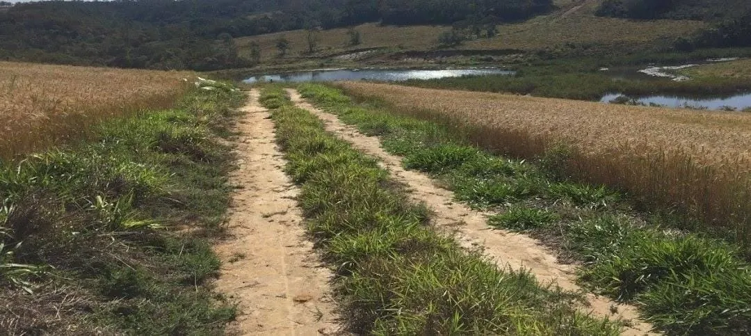 Fazenda à venda de 162 ha em São Miguel Arcanjo, SP, Brasil
