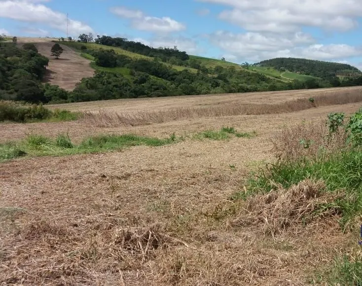Fazenda à venda de 162 ha em São Miguel Arcanjo, SP, Brasil