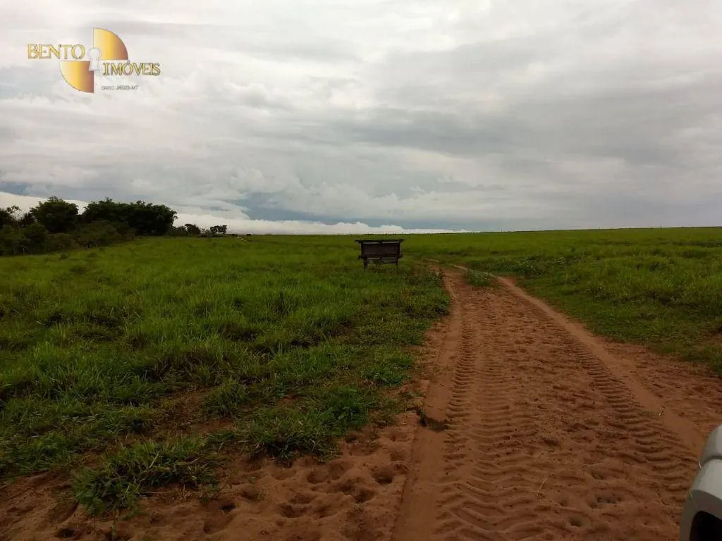 Fazenda à venda de 2.500 ha em Rosário Oeste, MT, Brasil
