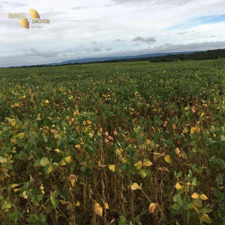 Fazenda à venda de 2.500 ha em Rosário Oeste, MT, Brasil