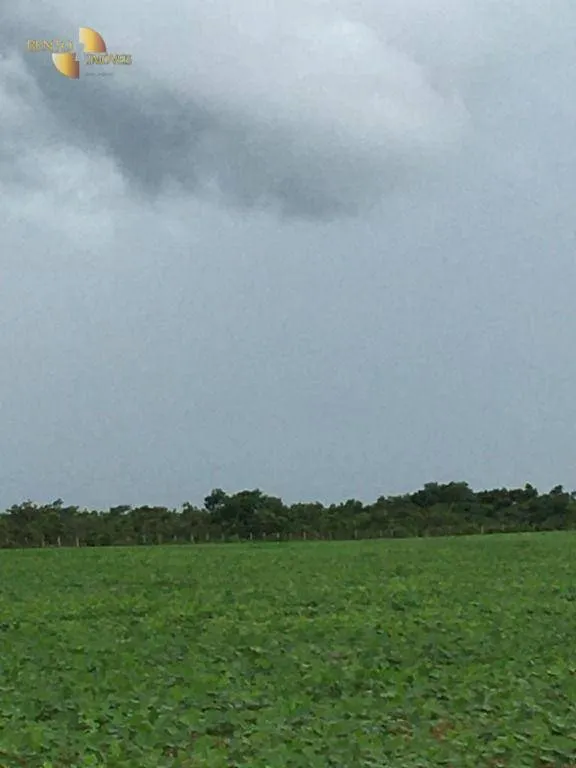 Fazenda à venda de 2.500 ha em Rosário Oeste, MT, Brasil