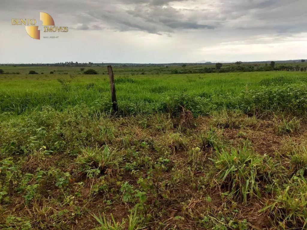 Fazenda à venda de 2.500 ha em Rosário Oeste, MT, Brasil