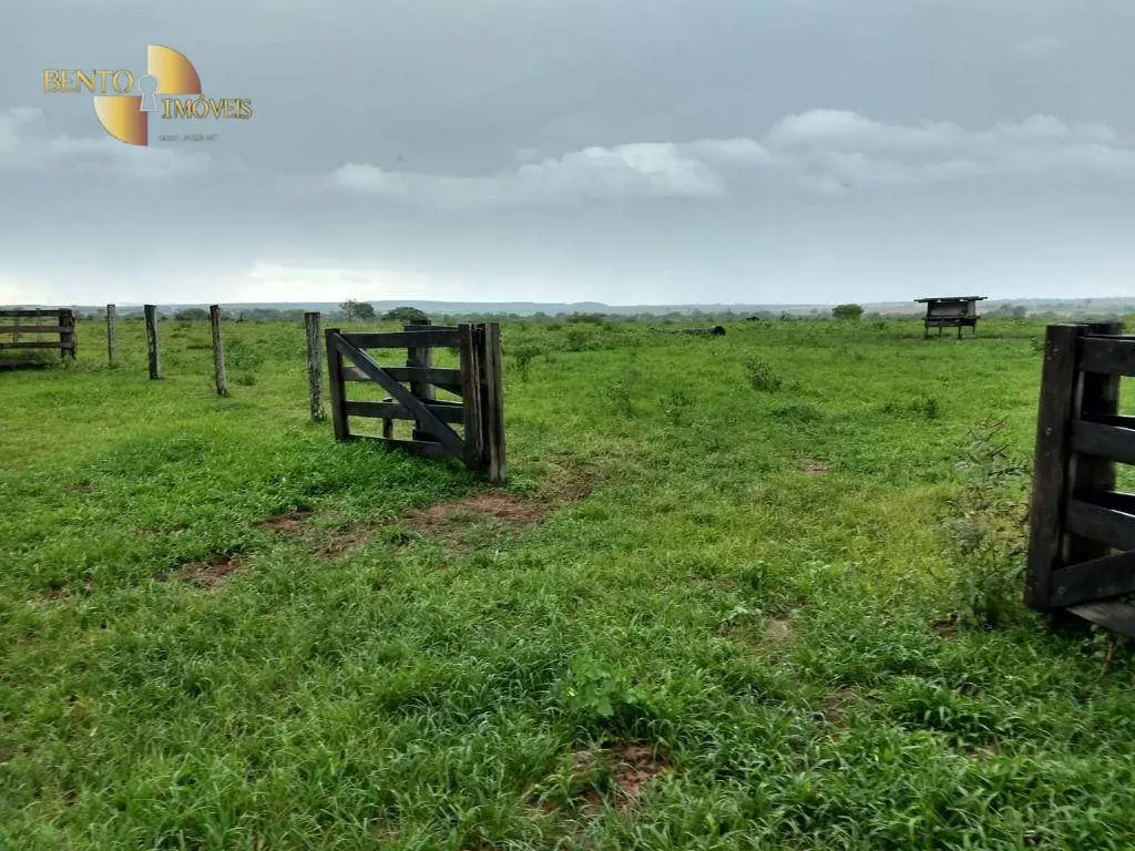 Fazenda à venda de 2.500 ha em Rosário Oeste, MT, Brasil