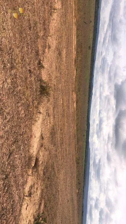 Fazenda à venda de 2.500 ha em Rosário Oeste, MT, Brasil