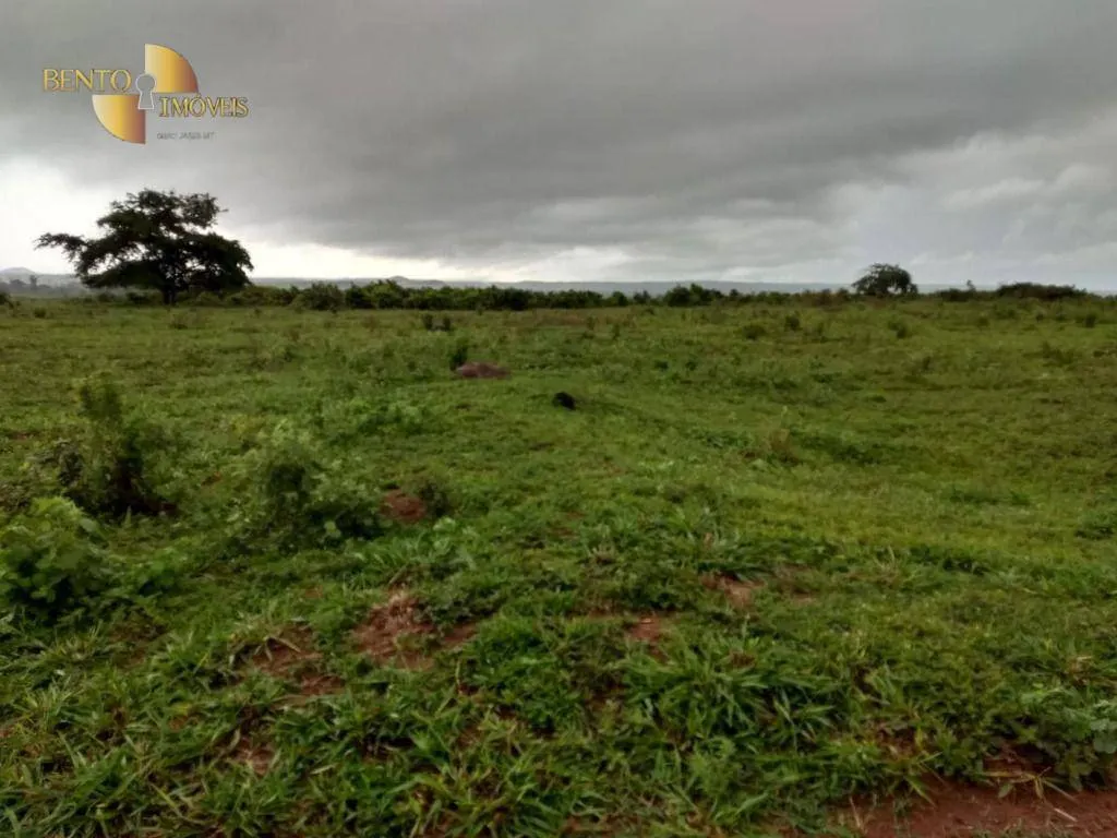 Fazenda à venda de 2.500 ha em Rosário Oeste, MT, Brasil
