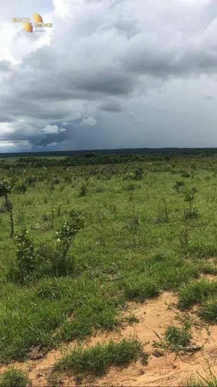 Fazenda à venda de 2.500 ha em Rosário Oeste, MT, Brasil