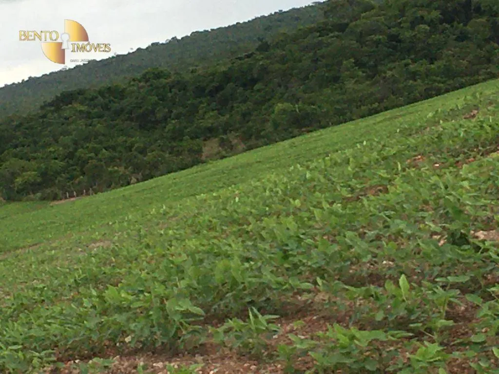 Fazenda à venda de 2.500 ha em Rosário Oeste, MT, Brasil