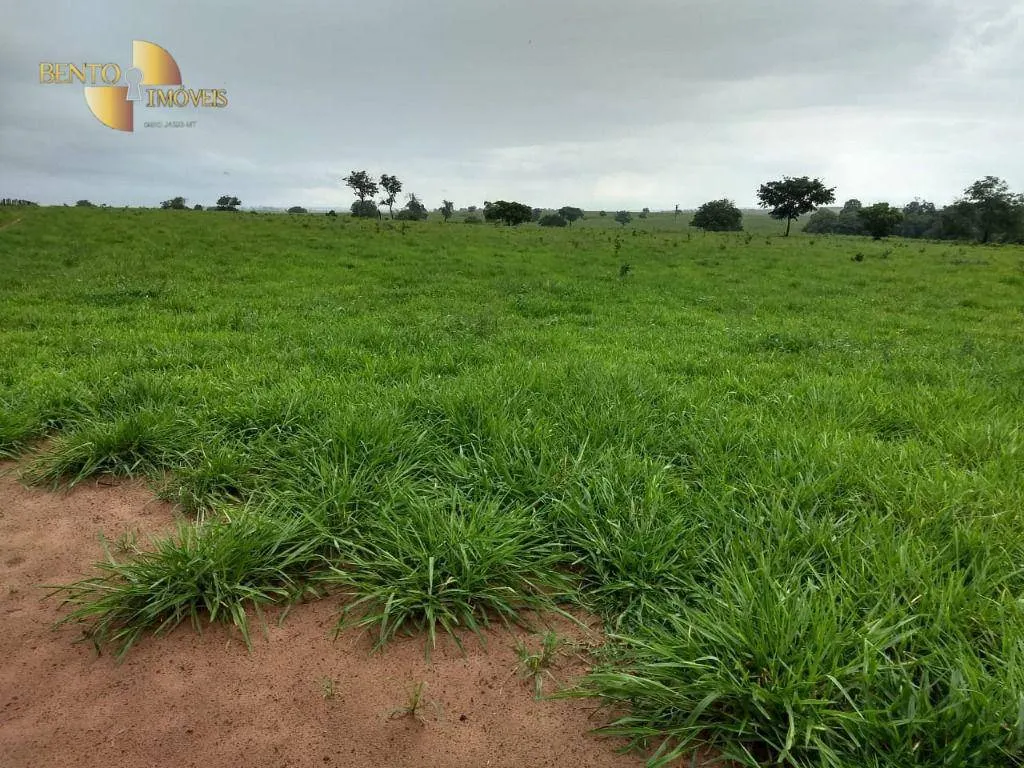 Fazenda à venda de 2.500 ha em Rosário Oeste, MT, Brasil
