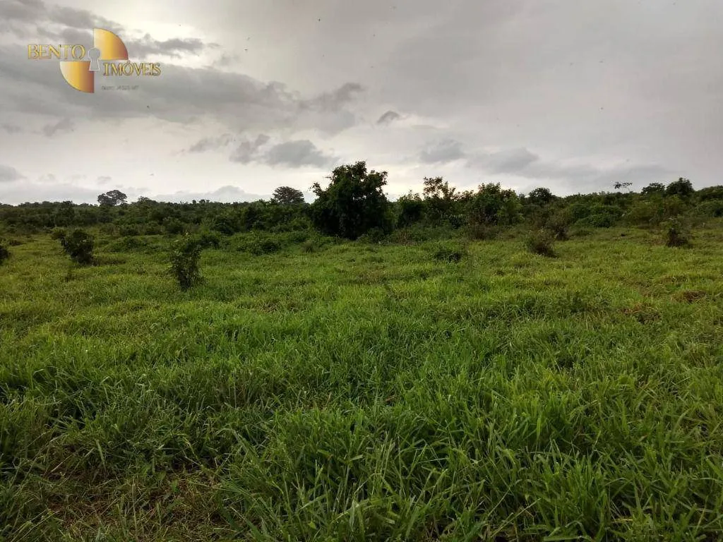Fazenda à venda de 2.500 ha em Rosário Oeste, MT, Brasil