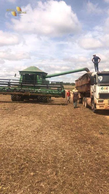 Fazenda à venda de 2.500 ha em Rosário Oeste, MT, Brasil